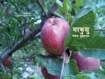 Mark_cover 66.jpg